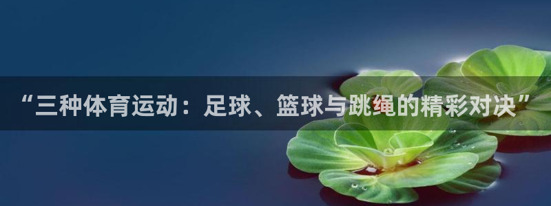 3377体育官网下载:“三种体育运动:足球、篮球与跳绳的精彩