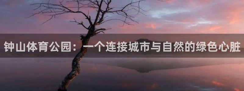 3377体育官网下载平台注册要钱吗安全吗:钟山体育公园:一个