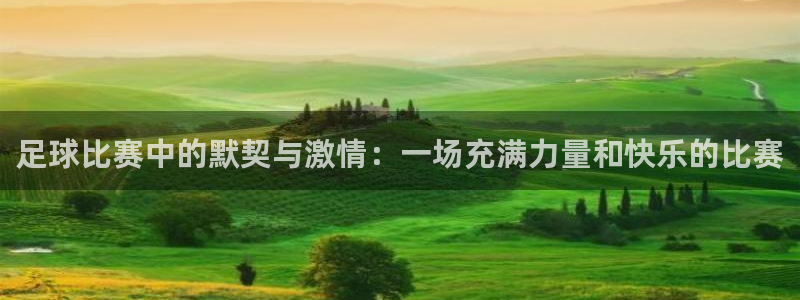 3377体育官方正版app官方:足球比赛中的默契与激情:一场